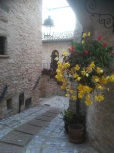Fotografia z galérie ubytovania La casa della maestra località San Giovanni Spello v destinácii Spello