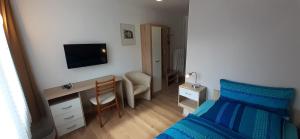 Schlafzimmer mit einem Bett und einem Schreibtisch mit einem TV in der Unterkunft Gästehaus Viktoria in Bad Bertrich