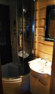 ObidowaにあるWidokowa Chataのガラスのシャワーと洗面台を備えたバスルーム