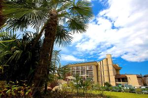 a palm tree in front of a building at Enjoy Garda Hotel in Peschiera del Garda