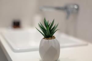 a white vase with a green plant in it at Apartments Jakic 1 in Hvar