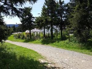 uma estrada de cascalho com árvores e uma casa à distância em Fichtelberghütte em Kurort Oberwiesenthal