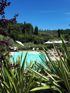 a swimming pool with green plants in the foreground at Agriturismo La Rocca in Bardolino