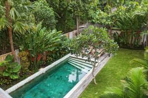 a swimming pool in the middle of a garden at Villa Liang by Nagisa Bali in Seminyak