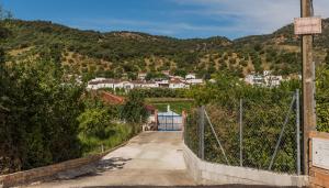 Príroda v okolí vily