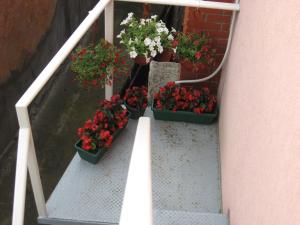 Fotografija v galeriji nastanitve Sweet Apartment v mestu Zaječar