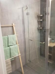 a shower with a glass door and a towel rack at Apartament Gran nad Motławą in Gdańsk