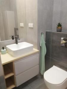 a bathroom with a sink and a toilet and a mirror at Apartament Gran nad Motławą in Gdańsk