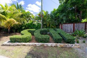 a hedge in the shape of a letter s in a garden at South Coast Horizon in Curtain Bluff