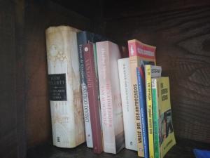 a row of books sitting on a shelf at La Fragua del Canajal apartamentos in San Cosme