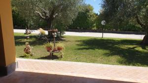 حديقة خارج L'Antico Vigneto