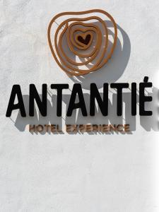 Certifikát, hodnocení, plakát nebo jiný dokument vystavený v ubytování Hotel Antantie