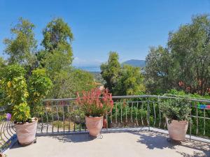 un balcone con 3 piante in vaso su una recinzione di George's Apartment a Città di Lefkada