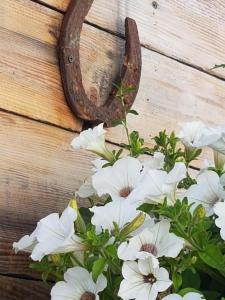 Gallery image of STARY SPICHLERZ in Uherce Mineralne