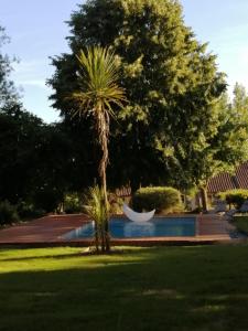 uma palmeira e uma rede junto a uma piscina em Douvilla em Douville