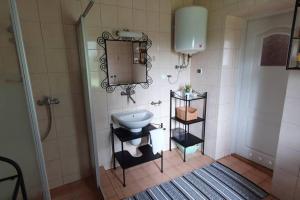 a bathroom with a sink and a mirror at Kaszubskie Siedlisko Szkodnikówka in Skwierawy +36 photos