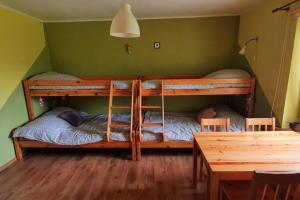 two bunk beds in a green room with a table at Kaszubskie Siedlisko Szkodnikówka in Skwierawy