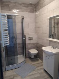 W łazience znajduje się prysznic, toaleta i umywalka. w obiekcie Hotelik Neptun w mieście Ustronie Morskie