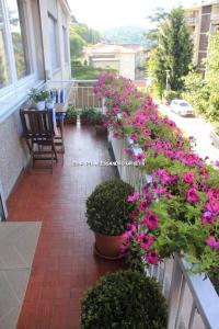 A garden outside B&B Paradisett