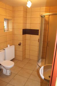 La salle de bains est pourvue de toilettes, d'une douche et d'un lavabo. dans l'établissement Bar Oaza, à Szczerców