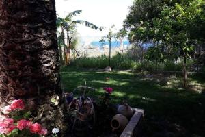Fotografie z fotogalerie ubytování Sweet home in Aigio v destinaci Aígio