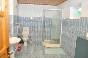 a bathroom with a shower and a toilet and a sink at Casa Verde in Râu de Mori +33 photos