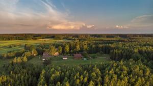 an aerial view of a house in the middle of a forest at Cicho Cichuteńko in Narew