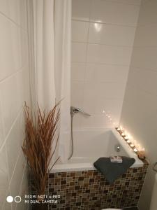 a bathroom with a bath tub with lights in it at Apartmán 4you in Buchlovice