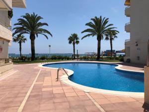 a swimming pool with palm trees in the background at Apartaments Colibri in Cambrils