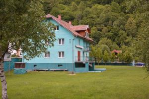 a large blue house in a field of grass at Casa Verde in Râu de Mori