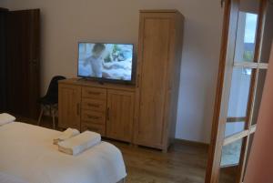 a bedroom with a bed and a television on a dresser at SONIA in Polanica-Zdrój