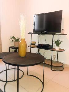 a television and a table with a vase on it at Studio Vieil Antibes - Saint Antoine in Antibes