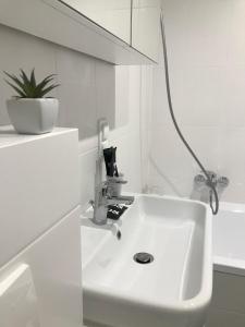 un lavandino bianco in un bagno bianco con una pianta di SŁOŃCE WODA LAS Apartament No 11A a Kielce