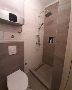 La salle de bains est pourvue d'une douche et de toilettes. dans l'établissement Apartments Ogurlic, à Herceg-Novi