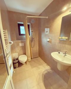 ein Bad mit einem WC und einem Waschbecken in der Unterkunft Maison Platanus in Voineasa