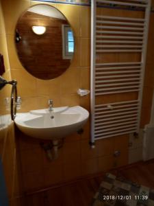 マリアーンスケー・ラーズニェにあるPenzion Villa Marionのバスルーム(洗面台、鏡付)