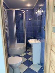 ダルウフコにあるKomfortowe Pokoje Darłówkoの青いタイル張りのバスルーム(トイレ、シンク付)