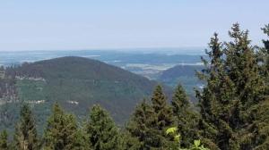 a view from the top of a mountain with trees at Kuschelnest in Altenau +2 photos
