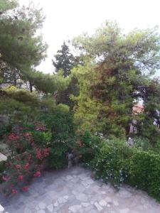 A garden outside Pine Trees and Sea View Houses in Hydra - Daphne, Chloe, Myrto, Eleni