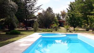 Casa Rural entre Bodegas y Viñedos ' El Jarillal" في La Consulta: مسبح في ساحه فيها اشجار