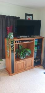 TV de pantalla plana en un centro de entretenimiento de madera con plantas en Ridge Haven Accommodation en Ruakaka