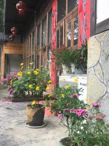 恩施大峡谷春伦农家乐外面的花园