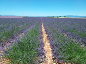 Imagen de la galería de Au pays de la lavande..., en Valensole