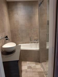een badkamer met een toilet, een wastafel en een bad bij Luxe chalet 'Wysha' in Sint Annaland