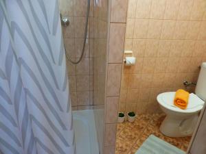 ein Bad mit einer Dusche, einem WC und einer Dusche in der Unterkunft Ubytovanie na Frantšachte in Banská Štiavnica + 31 Fotos