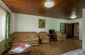 - un salon avec un canapé, deux chaises et une table dans l'établissement Pensiunea Victoria, à Şuţu