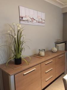 a wooden cabinet with a potted plant on top of it at Apartment Hertstraat in Ostend