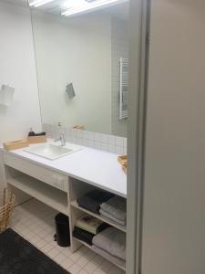 a bathroom with a sink and a mirror at Apartment am Weinberg in Ehrenhausen