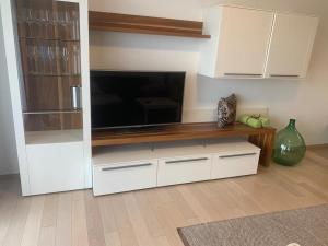 a entertainment center with a flat screen tv in a living room at Apartment am Weinberg in Ehrenhausen