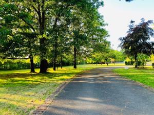 uma estrada num parque com árvores e relva em Villa du Bois Verts em Les Herbiers